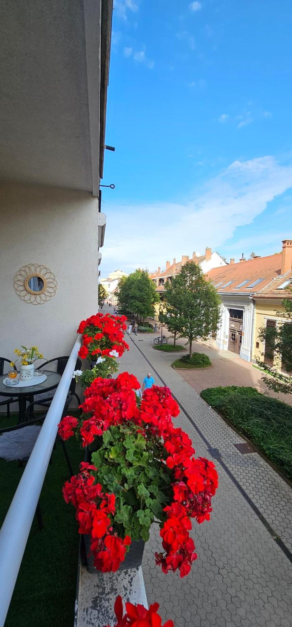 Anna Gyoengye Apartman Debrecen Luaran gambar